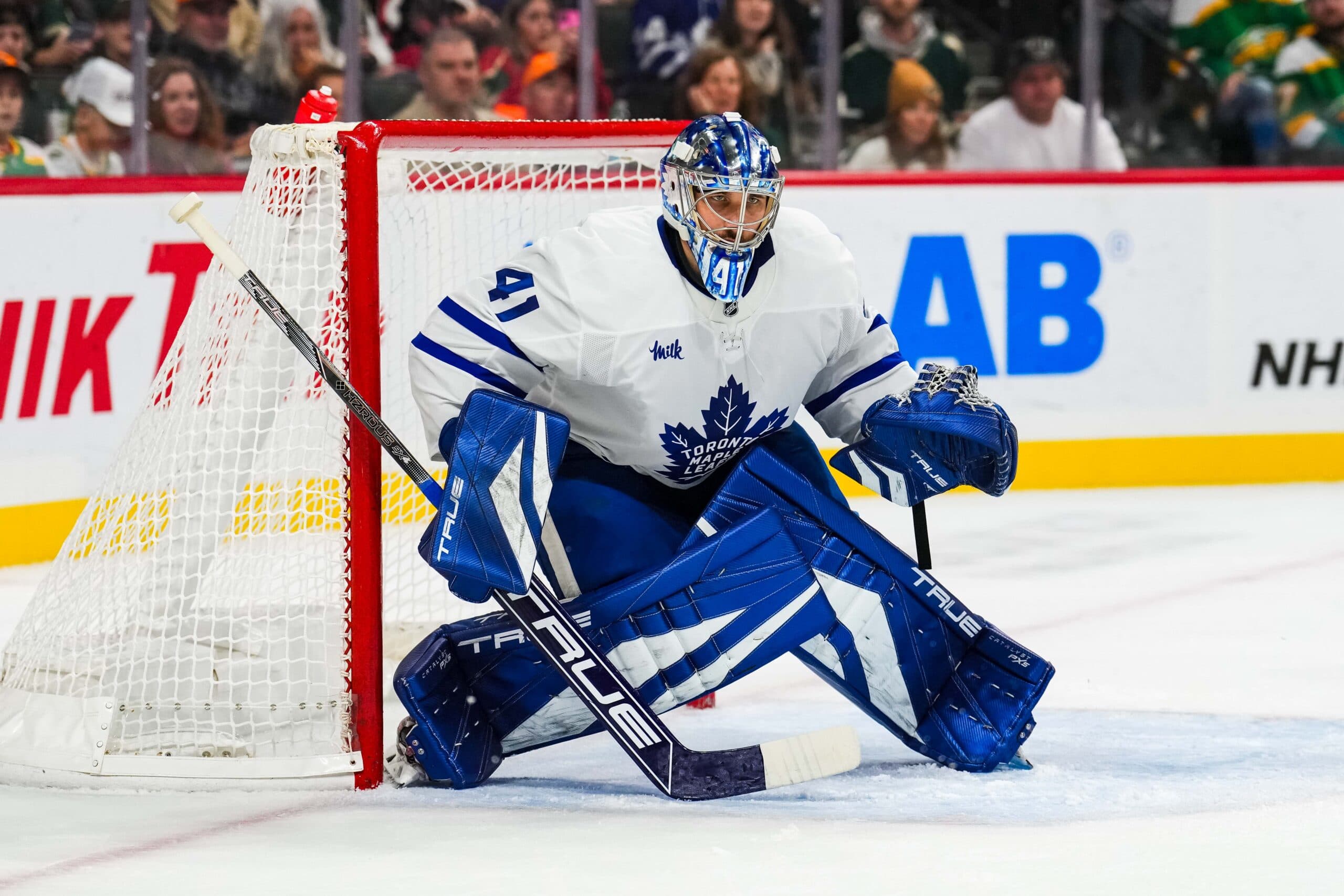 Maple Leafs goaltender Anthony Stolarz.